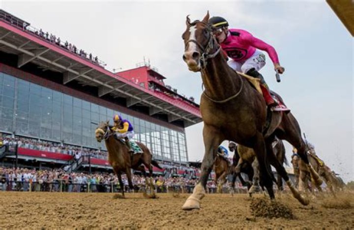 2019 Preakness Stakes winner War Of Will.