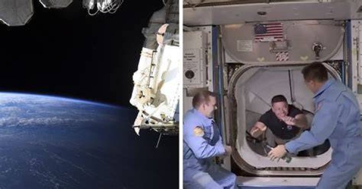 Bob Behnken On Earth
