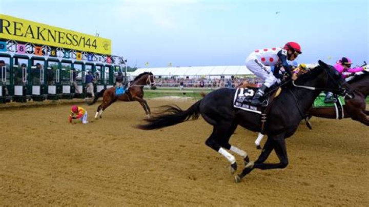 Bodexpress running without his jockey at the 2019 Preakness Stakes