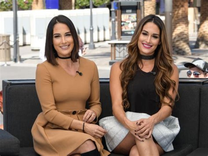 Brie Nikki Bella