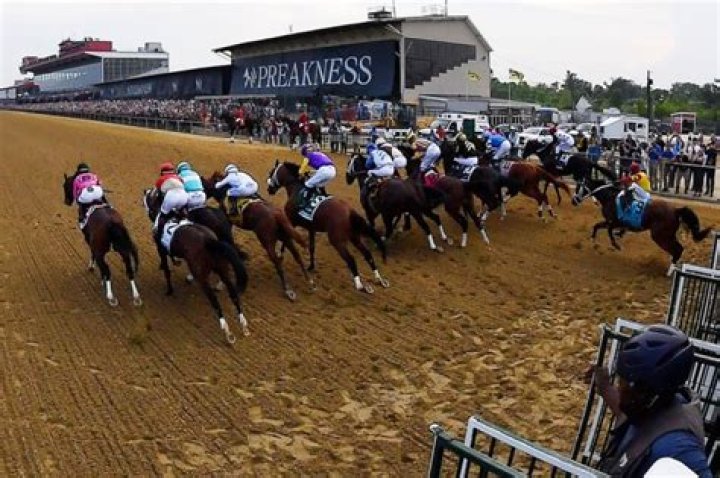 John Velazques falls off Bodexpress at the 2019 Preakness.