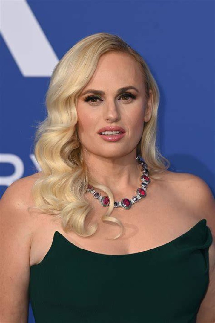 Rebel Wilson 'Bridesmaids' film premiere, Los Angeles, America - 28 Apr 2011