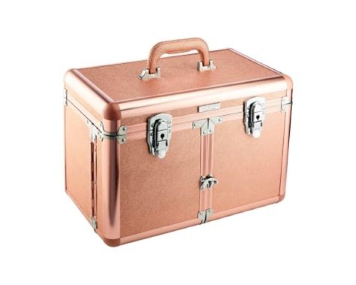 SEPHORA STARLIT TRAINCASE, $68, Sephora